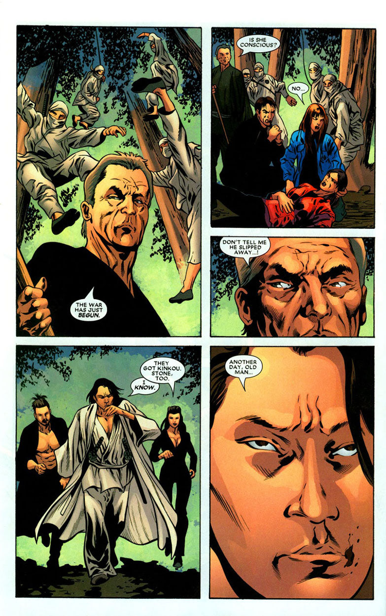 Elektra Adaptation #1 p.33 & 34