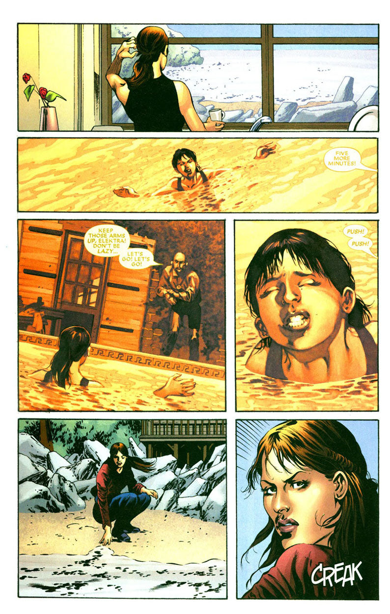 Elektra Adaptation #1 p.05 & 06