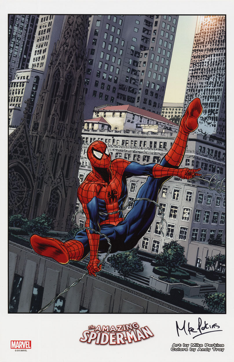 Spider-Man - 1st Issue Cover Print!